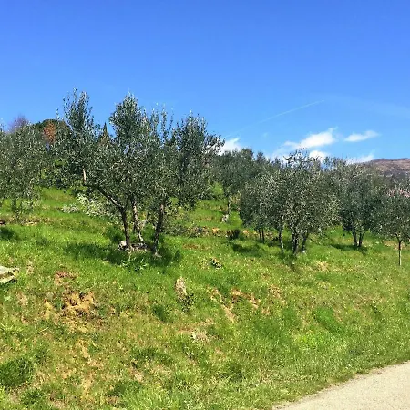 Belvilla By Oyo Flat In With Pool * Pian di Scò